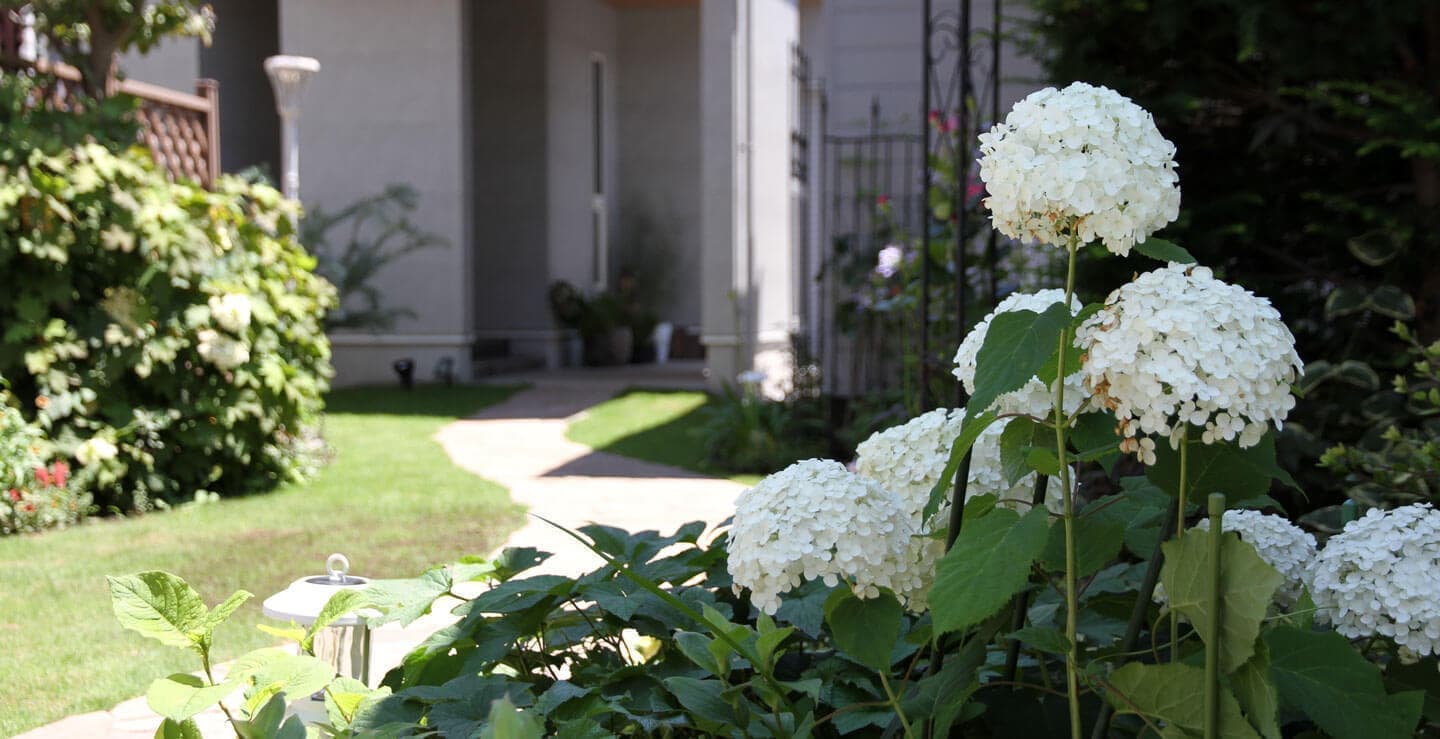 転職・中途採用情報